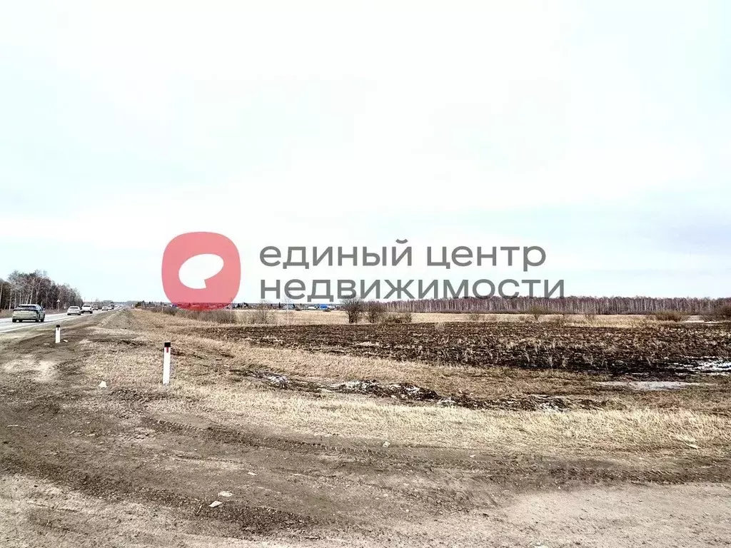 Участок в Тюменская область, Тюменский район, Майское СНТ ул. Розовая ... - Фото 1