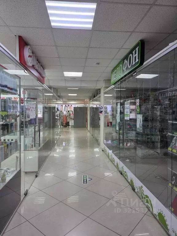 Торговая площадь в Удмуртия, Ижевск ул. Азина, 143 (16 м) - Фото 1