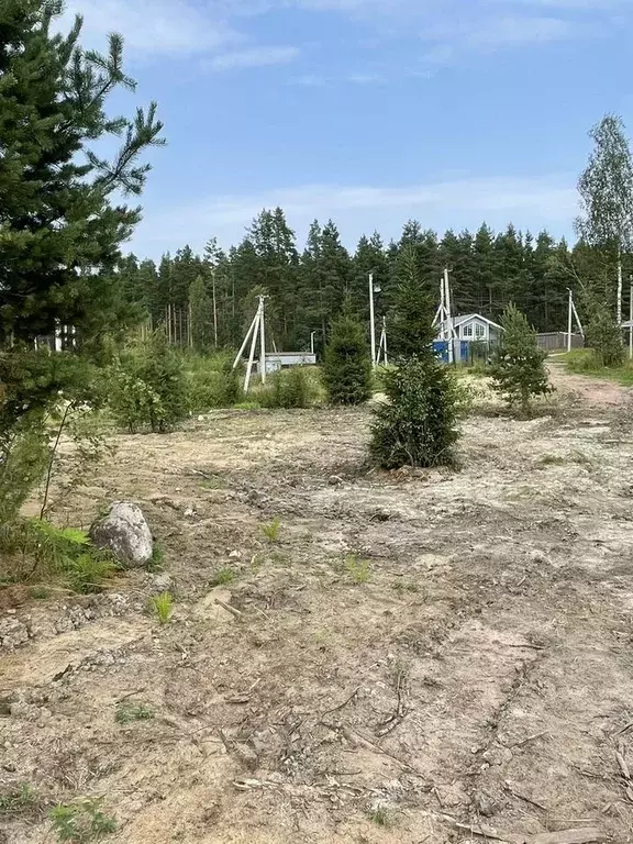 Участок в Ленинградская область, Приозерский район, Сосновское с/пос, ... - Фото 1