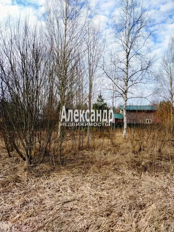 Участок в Ленинградская область, Выборгский район, Селезневское с/пос, ... - Фото 2