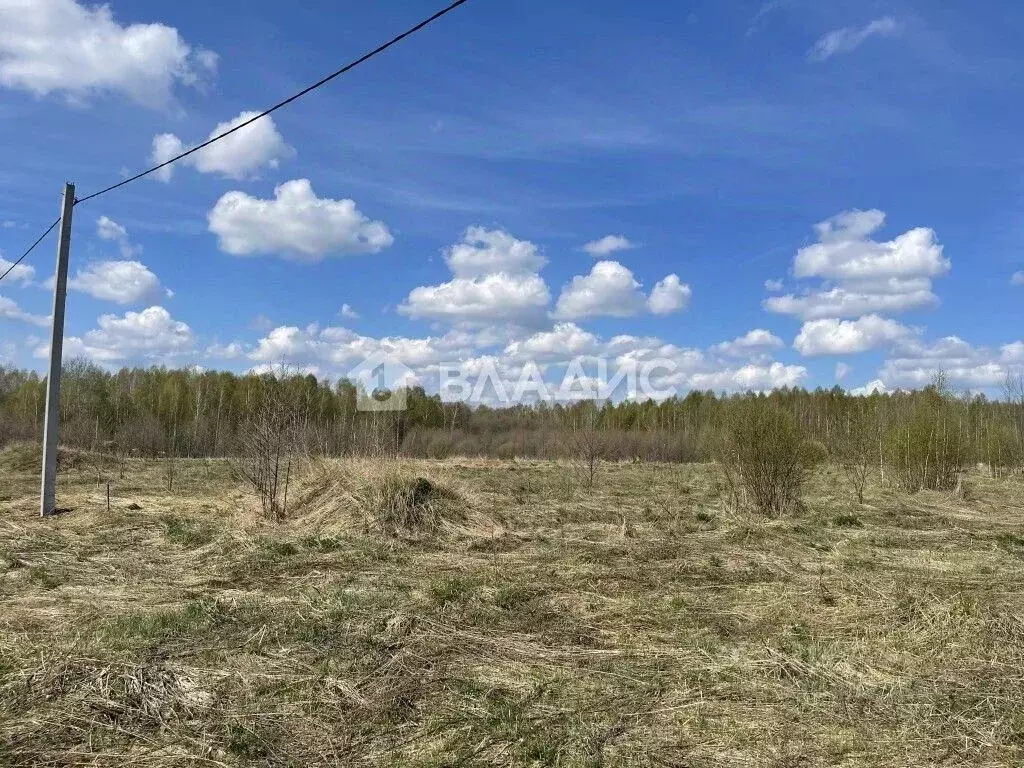 Участок в Владимирская область, Судогодский район, Головинское ... - Фото 0