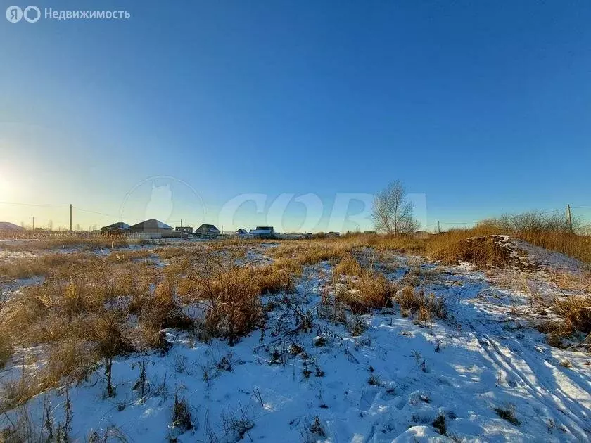 Участок в Тюмень, садовое товарищество Царево (15.4 м) - Фото 0