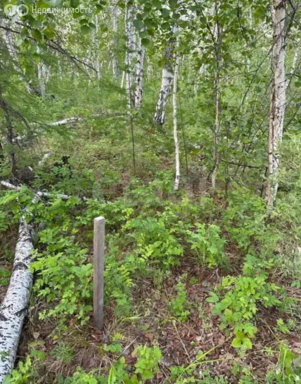 Участок в село Чурапча, улица Софронова (14.13 м) - Фото 1