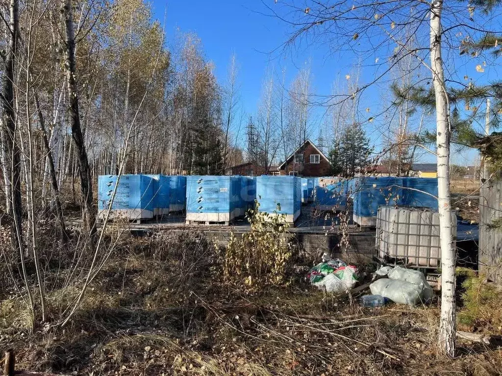 Участок в Алтайский край, Первомайский район, с. Санниково ул. ... - Фото 2