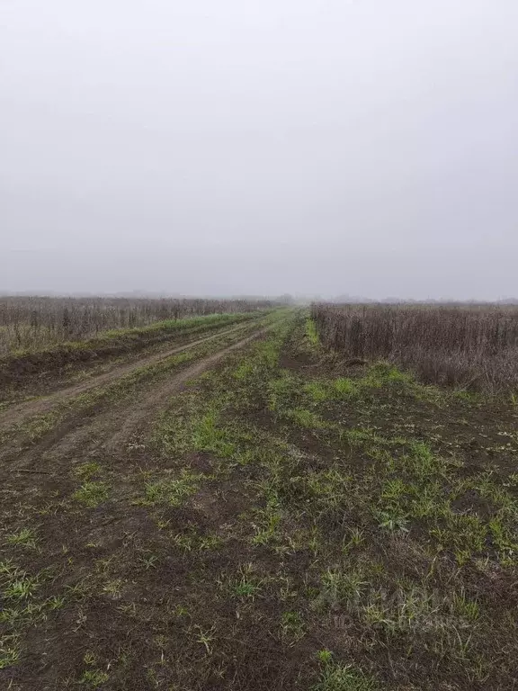 Участок в Краснодарский край, Ейск ул. Карла Маркса (6.0 сот.) - Фото 2