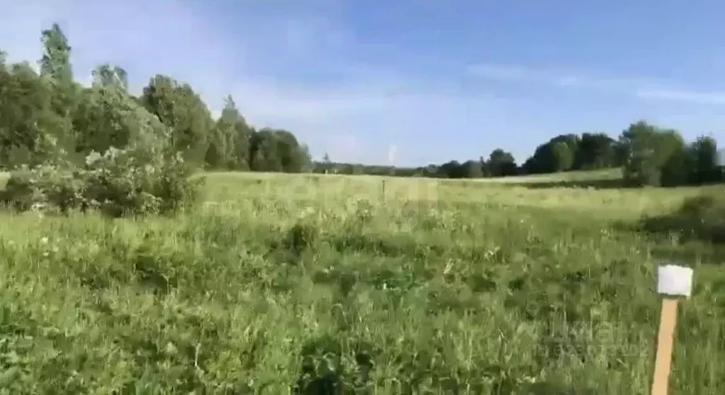 Участок в Ленинградская область, Всеволожский район, Куйвозовское ... - Фото 1