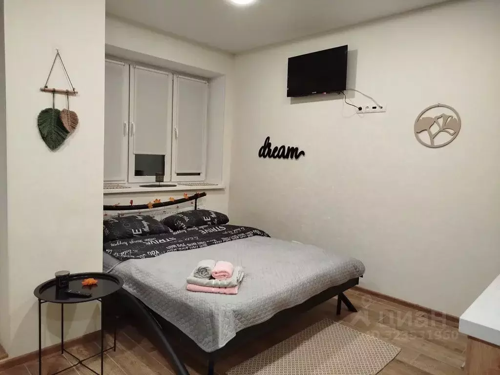 Студия Московская область, Мытищи пер. 1-й Трудовой, 4 (25.0 м) - Фото 0