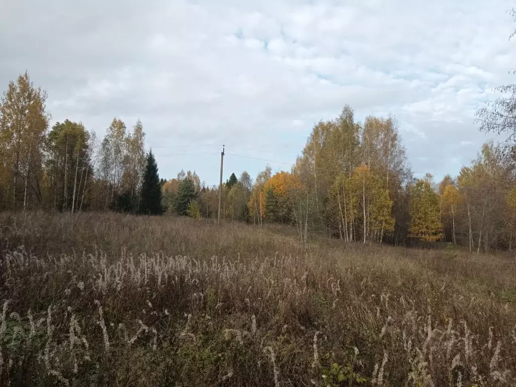 Участок в Новгородская область, Валдайский район, Ивантеевское с/пос, ... - Фото 1