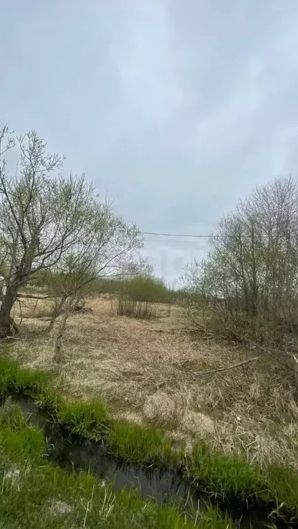 Участок в Сахалинская область, Долинск  (14.6 сот.) - Фото 1