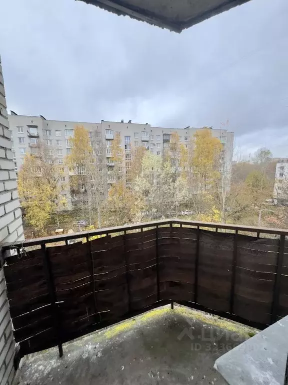 2-к кв. Санкт-Петербург Дачный просп., 38К2 (51.4 м) - Фото 2