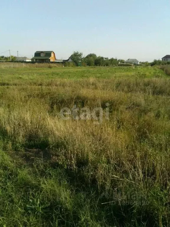 Участок в Воронежская область, Рамонский район, с. Айдарово  (15.0 ... - Фото 0