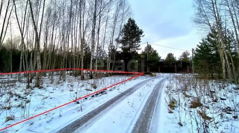 Участок в Псковская область, Печорский муниципальный округ, д. Зимний ... - Фото 1