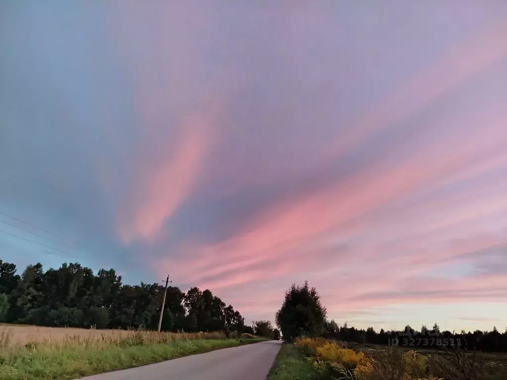 Дом в Калужская область, Тарусский муниципальный округ, Алекино с/пос, ... - Фото 1