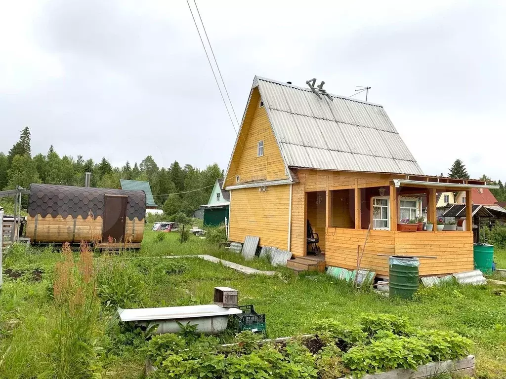 Снт Север Ижевск Купить Дачу