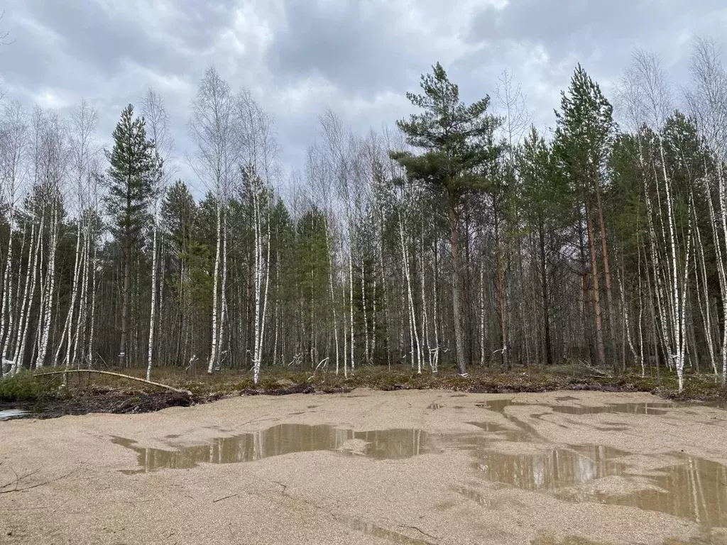 Участок в Ярославская область, Переславль-Залесский муниципальный ... - Фото 1