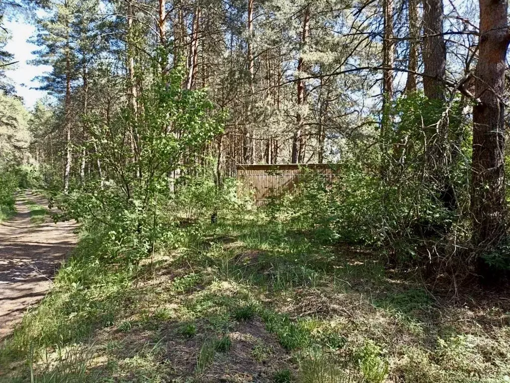 Участок в Владимирская область, Киржачский муниципальный округ, д. ... - Фото 1
