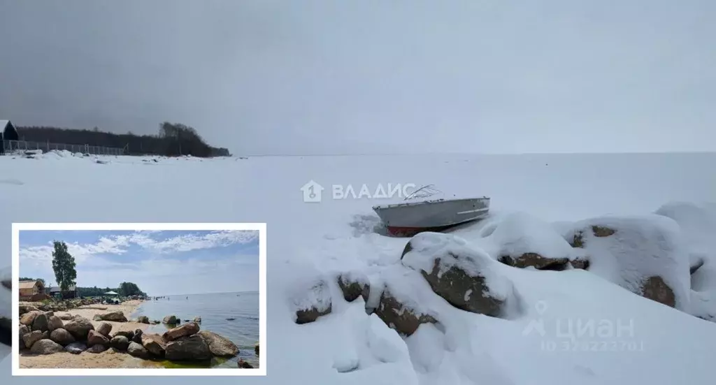 Участок в Ярославская область, Рыбинский муниципальный округ, д. ... - Фото 2