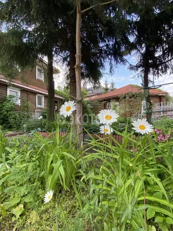 Коттедж в Санкт-Петербург, Санкт-Петербург, Петергоф ул. Мостовая, 6А ... - Фото 1