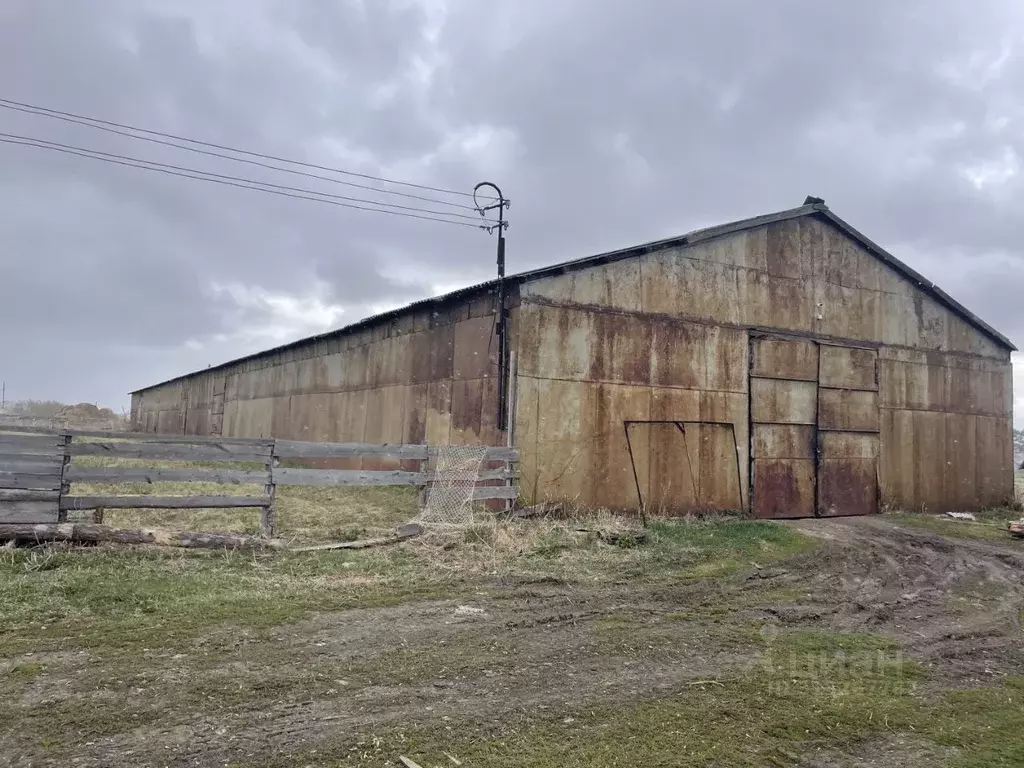 Склад в Новосибирская область, Ордынский район, д. Березовка  (1230 м) - Фото 1