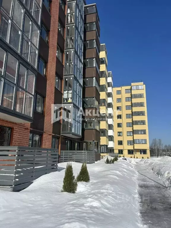 1-к кв. Ивановская область, Ивановский муниципальный округ, д. ... - Фото 2