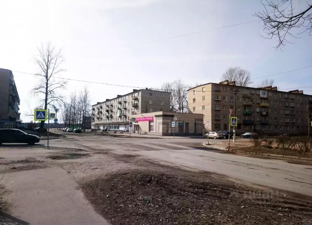 1-к кв. Ленинградская область, Пикалево г. Бокситогорский район, ... - Фото 1