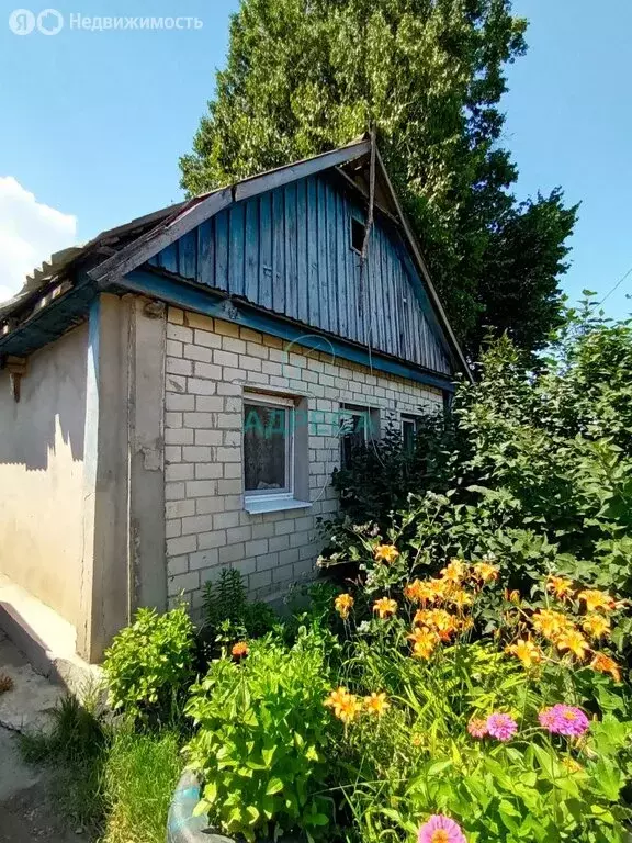 Дом в село Русская Халань, улица Горького (46.6 м) - Фото 0