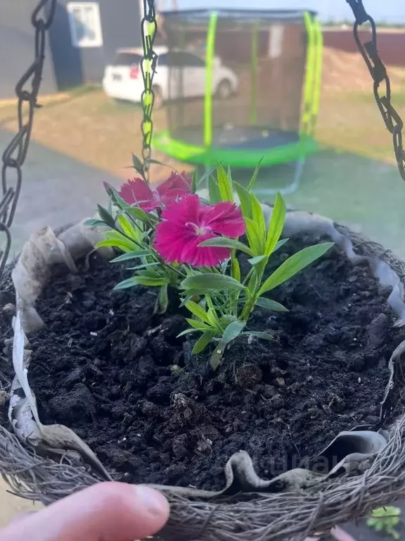 Дом в Саха (Якутия), Якутск ш. Покровское (133 м) - Фото 2