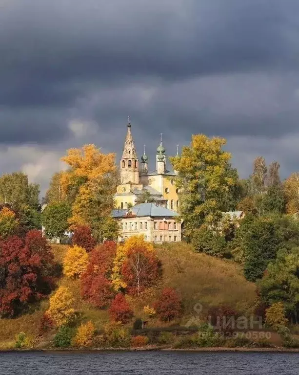 Участок в Ярославская область, Тутаев Борисоглебская сторона,  (30.0 ... - Фото 2