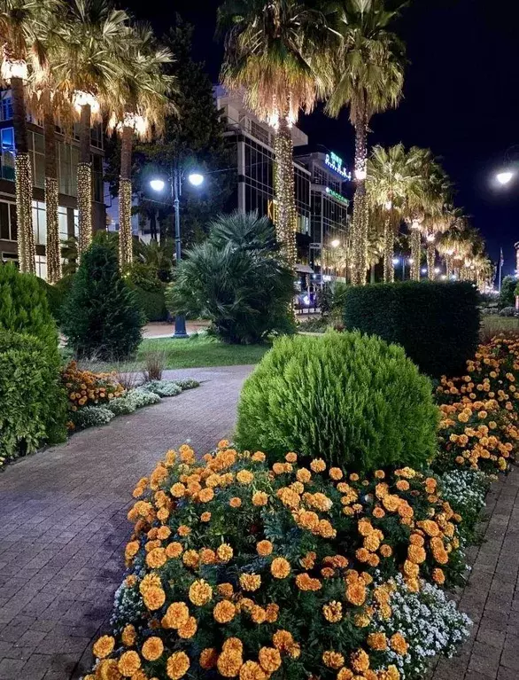 Квартира, 1 комната, 46 м - Фото 0