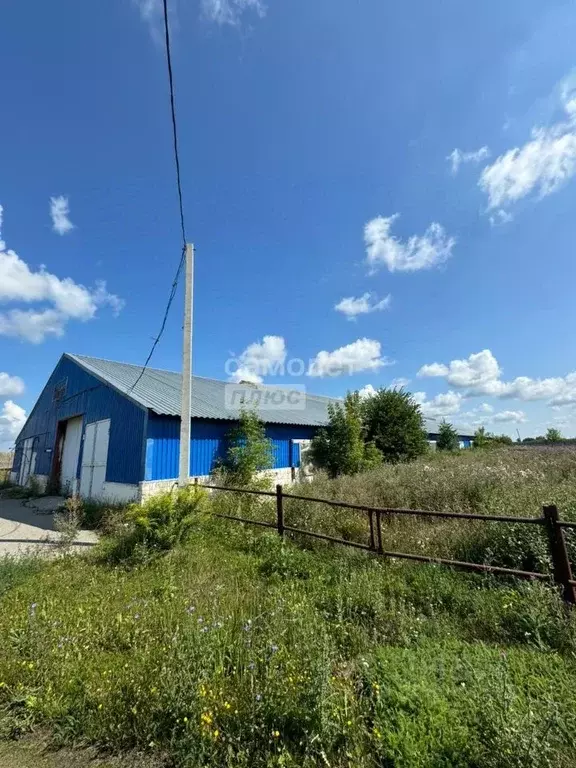 Помещение свободного назначения в Мордовия, Ичалковский район, с. ... - Фото 0