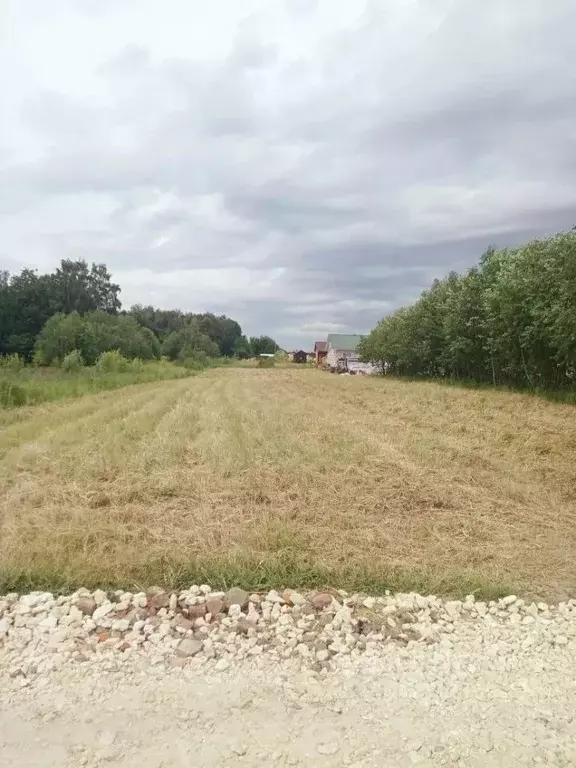 Участок в Московская область, Коломна городской округ, с. Акатьево  ... - Фото 1
