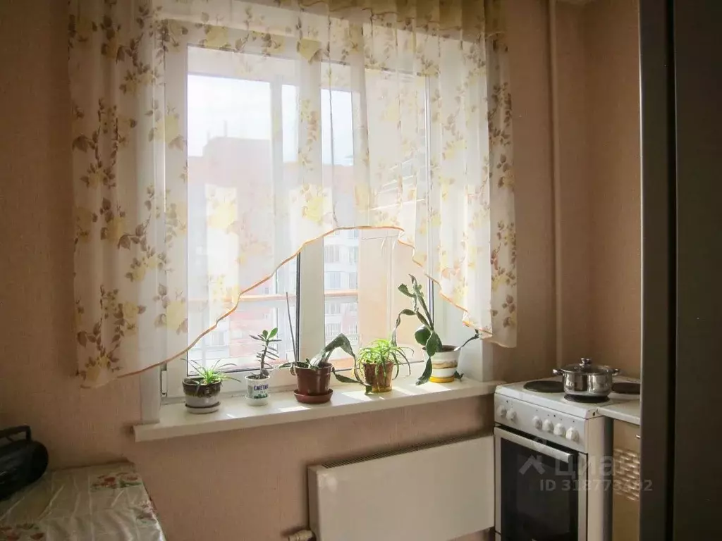 1-к кв. Новосибирская область, Новосибирск ул. Петухова, 101 (26.1 м) - Фото 1