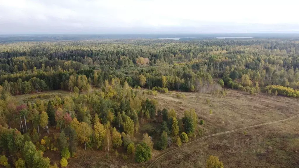 Участок в Карелия, Питкярантский муниципальный округ, д. Алатту  ... - Фото 2