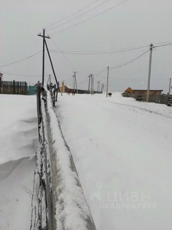 Участок в Иркутская область, Ольхонский район, Хужирское муниципальное ... - Фото 1