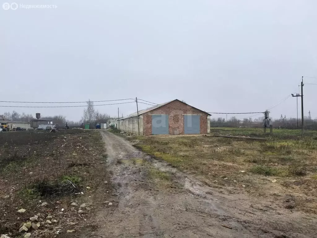 Помещение свободного назначения (683.9 м) - Фото 1