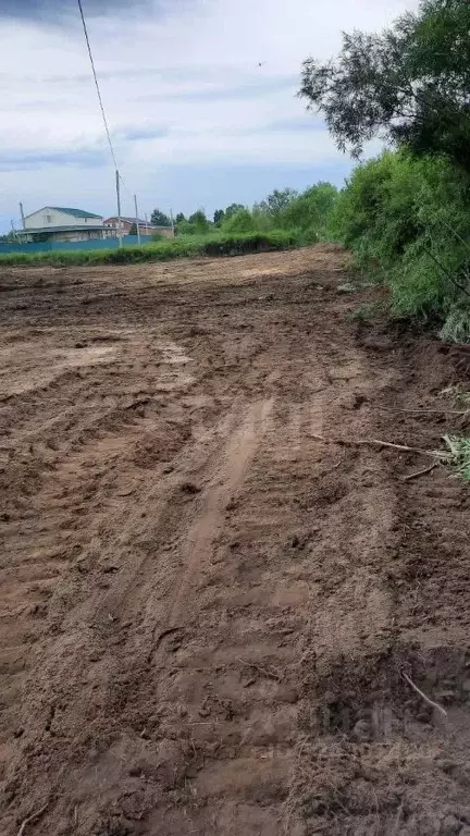 Участок в Амурская область, Благовещенск Рябинка СНТ, 13 (10.0 сот.) - Фото 1