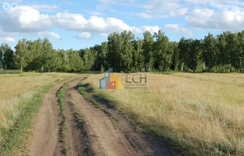 Участок в Тульская область, муниципальное образование Алексин, село ... - Фото 0