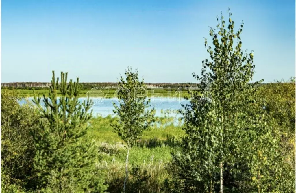 Участок в Тюменская область, Тюменский район, с. Мальково Новая ул., ... - Фото 1