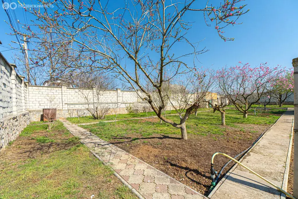 Участок в Севастополь, садоводческое товарищество Корабел (6.42 м) - Фото 2