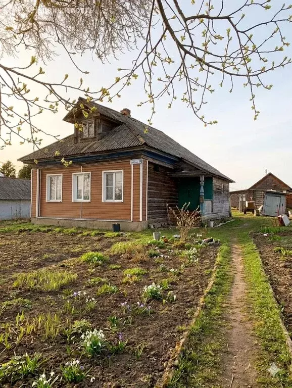 Дом в деревня Монасеино, Центральная улица, 48 (35 м) - Фото 1