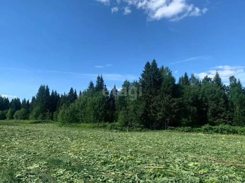 Участок в Коми, Сыктывдинский район, с. Выльгорт  (9.5 сот.) - Фото 1