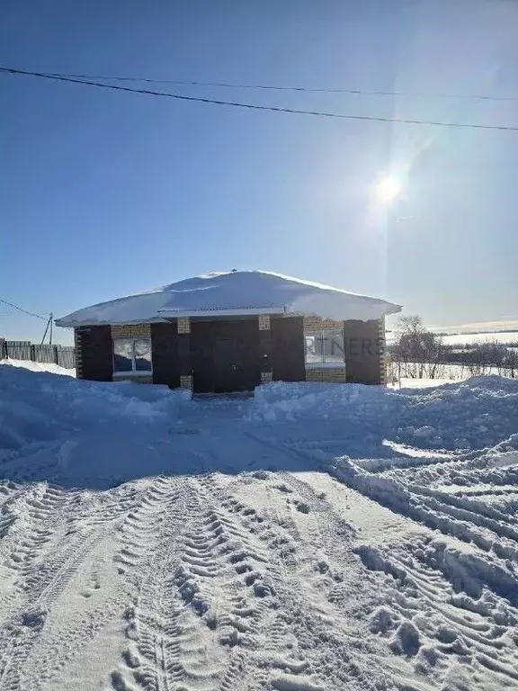 Дом в Татарстан, с. Пестрецы ул. Ягодная, 23 (110 м) - Фото 1