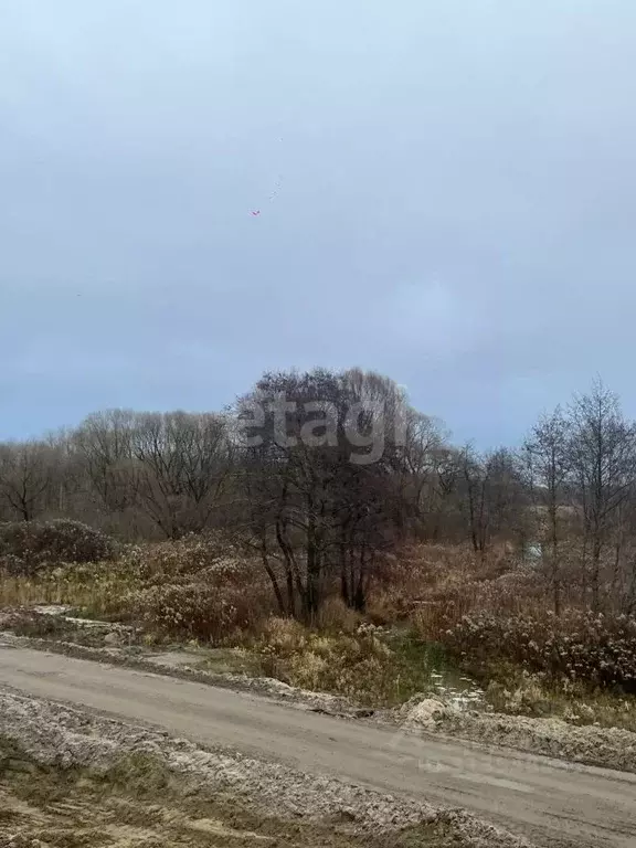 Участок в Калининградская область, Калининград Золотой Петушок ДНТ,  ... - Фото 0