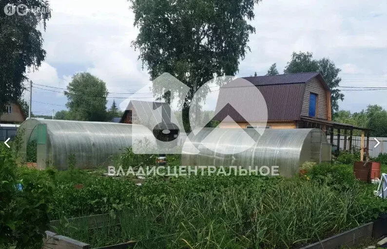 Дом в Новосибирск, СНТ Буревестник Пашинский, квартал № 2, 35 (45.6 м) - Фото 1