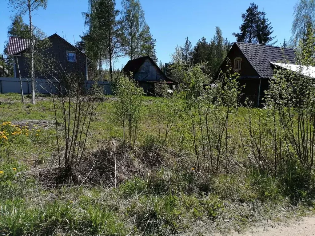 Участок в Ленинградская область, Гатчинский район, Ухта садоводческий ... - Фото 0