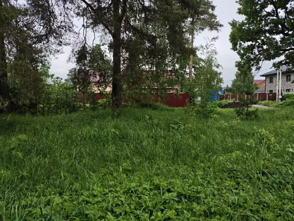 Участок в Московская область, Воскресенск городской округ, Хорлово пгт ... - Фото 1