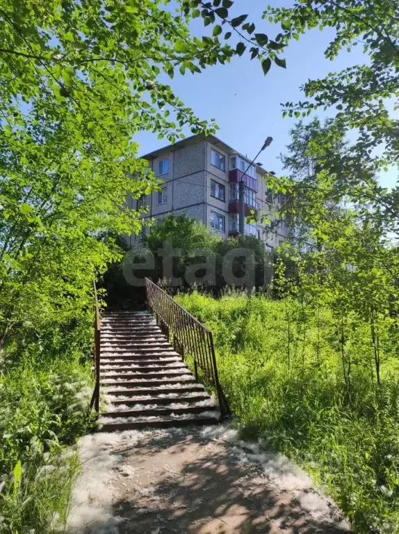 1-к кв. Архангельская область, Новодвинск ул. Димитрова, 2 (30.2 м) - Фото 0