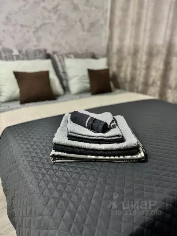 1-к кв. Алтайский край, Бийск Советская ул., 189 (27.0 м) - Фото 2