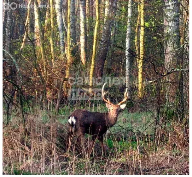 Участок в Клин, коттеджный посёлок Акуловская Слобода (9.48 м) - Фото 1
