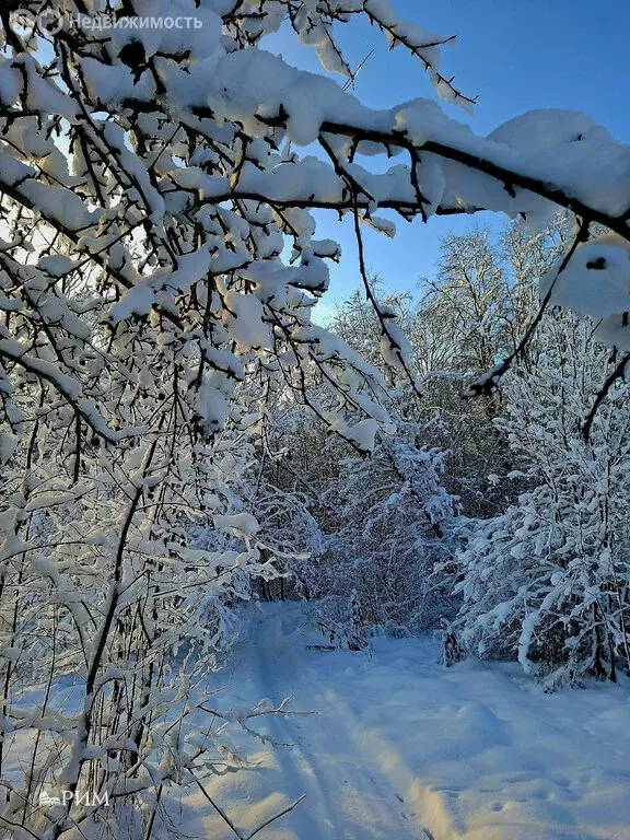 Дом в Вологодская область, Шекснинский муниципальный округ, деревня ... - Фото 2